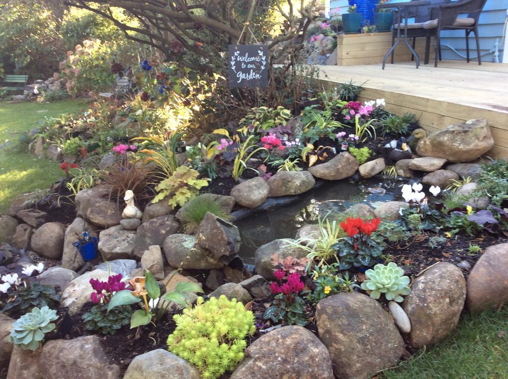 Company Bay Castlewood Cottage מראה חיצוני תמונה