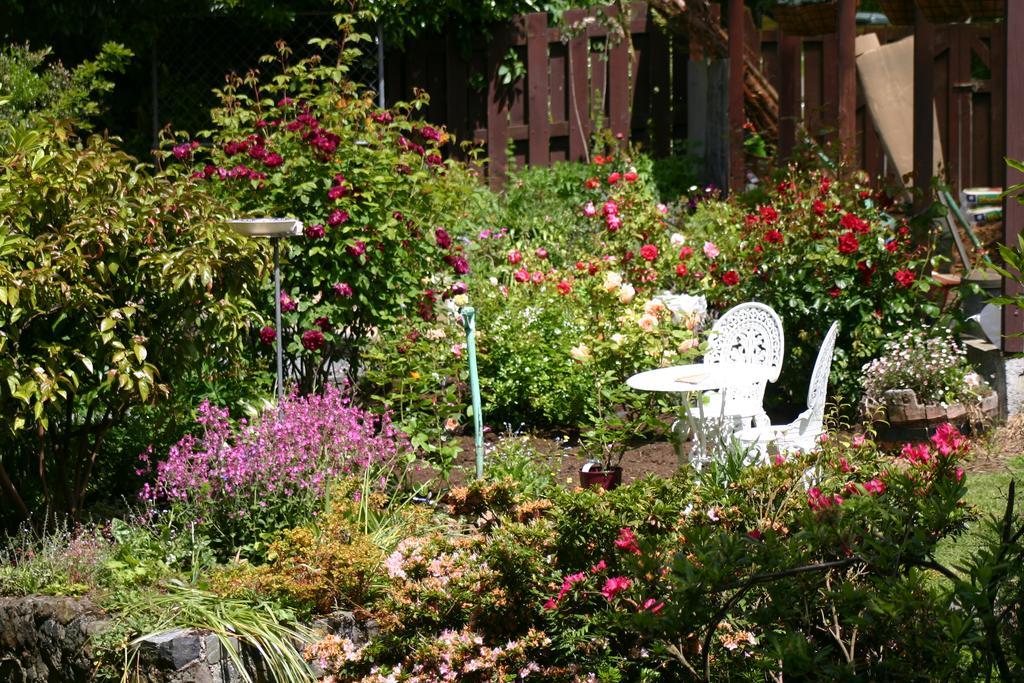 Company Bay Castlewood Cottage מראה חיצוני תמונה