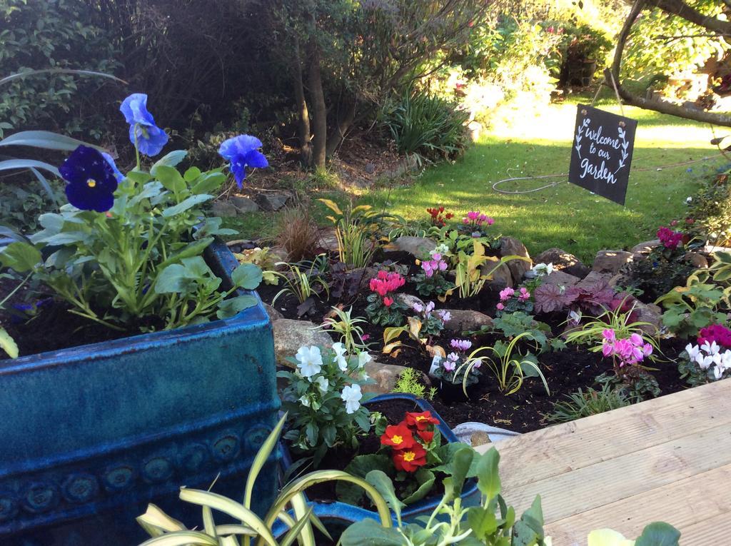 Company Bay Castlewood Cottage מראה חיצוני תמונה